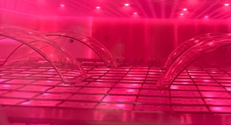 等离子体表面清洗技术