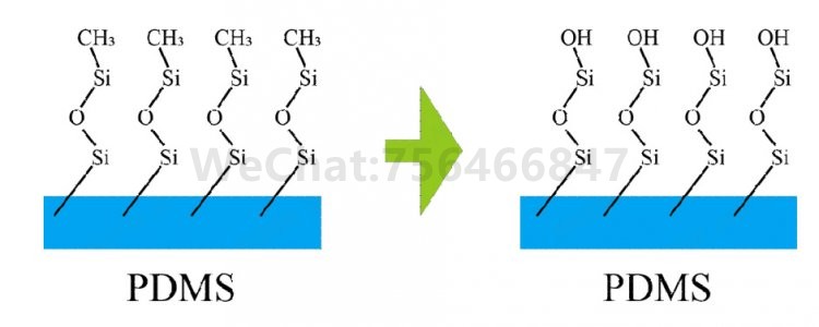 图1.1 PDMS 等离子表面处理